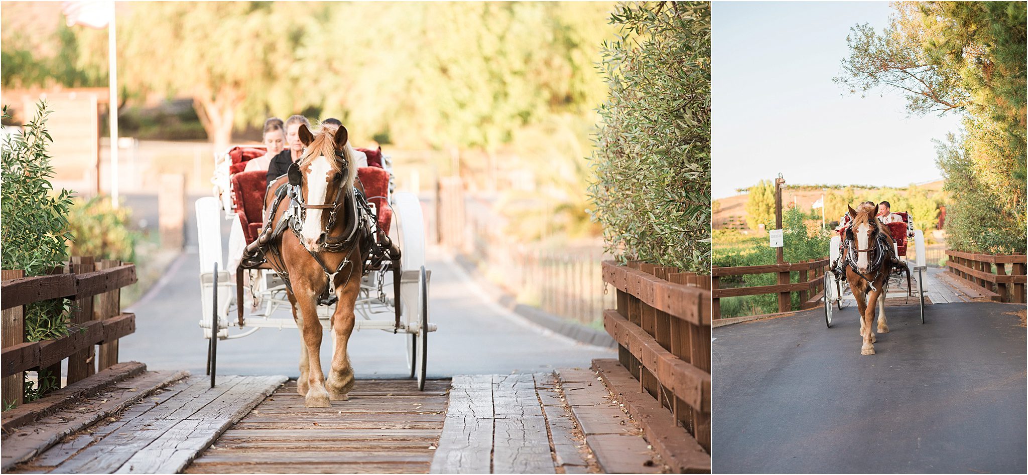 san-diego-wedding-photographer-long-shadow-ranch_0187