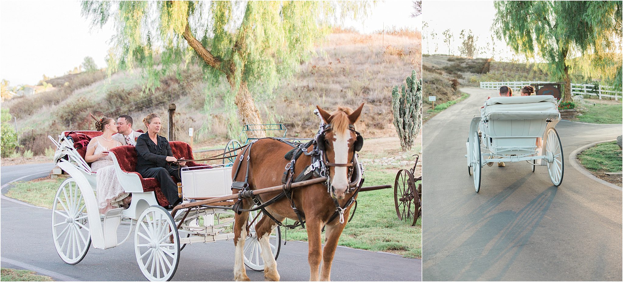 san-diego-wedding-photographer-long-shadow-ranch_0188