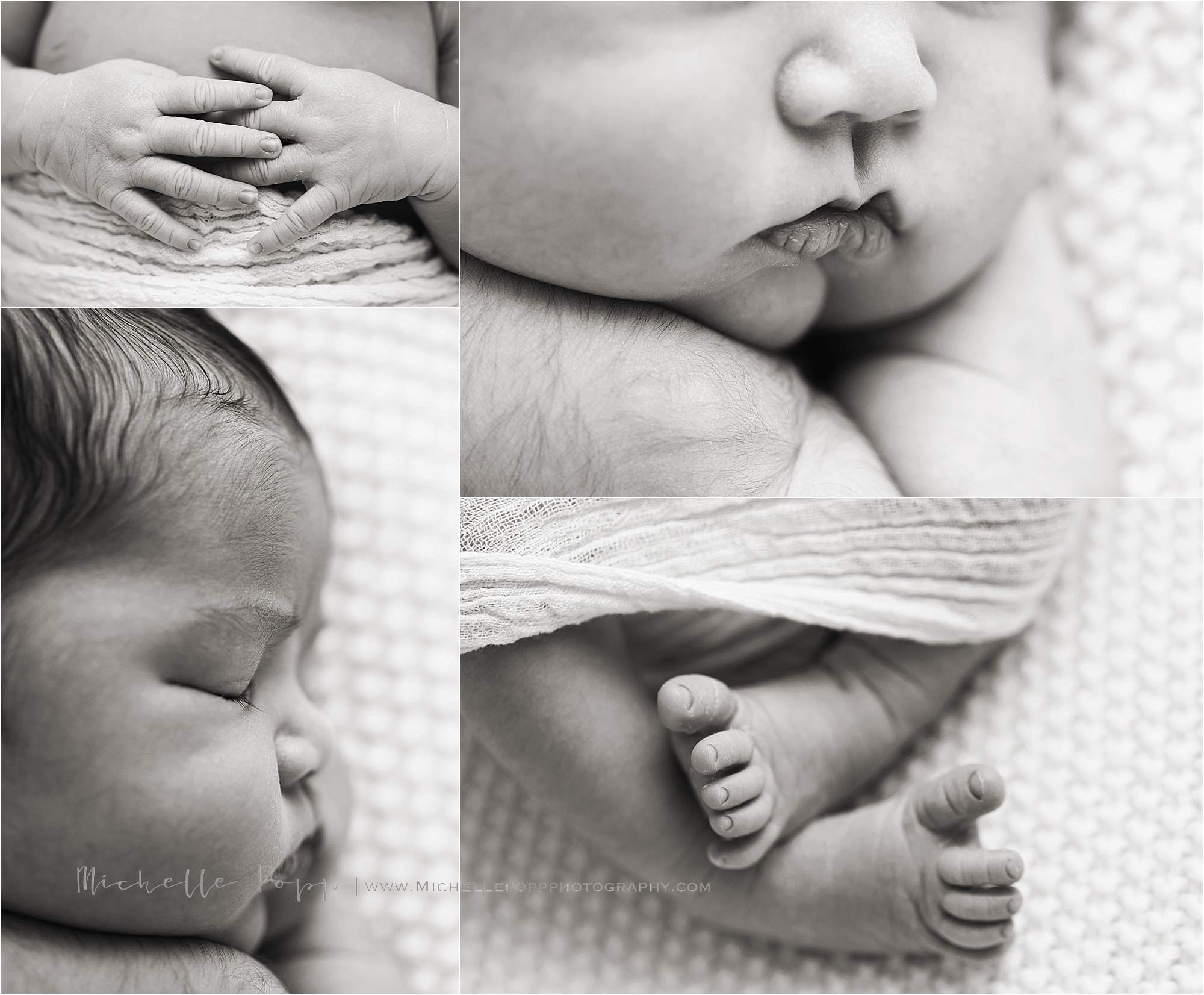 San-Diego-newborn-Photographer-Michelle-Popp-Photography_1979