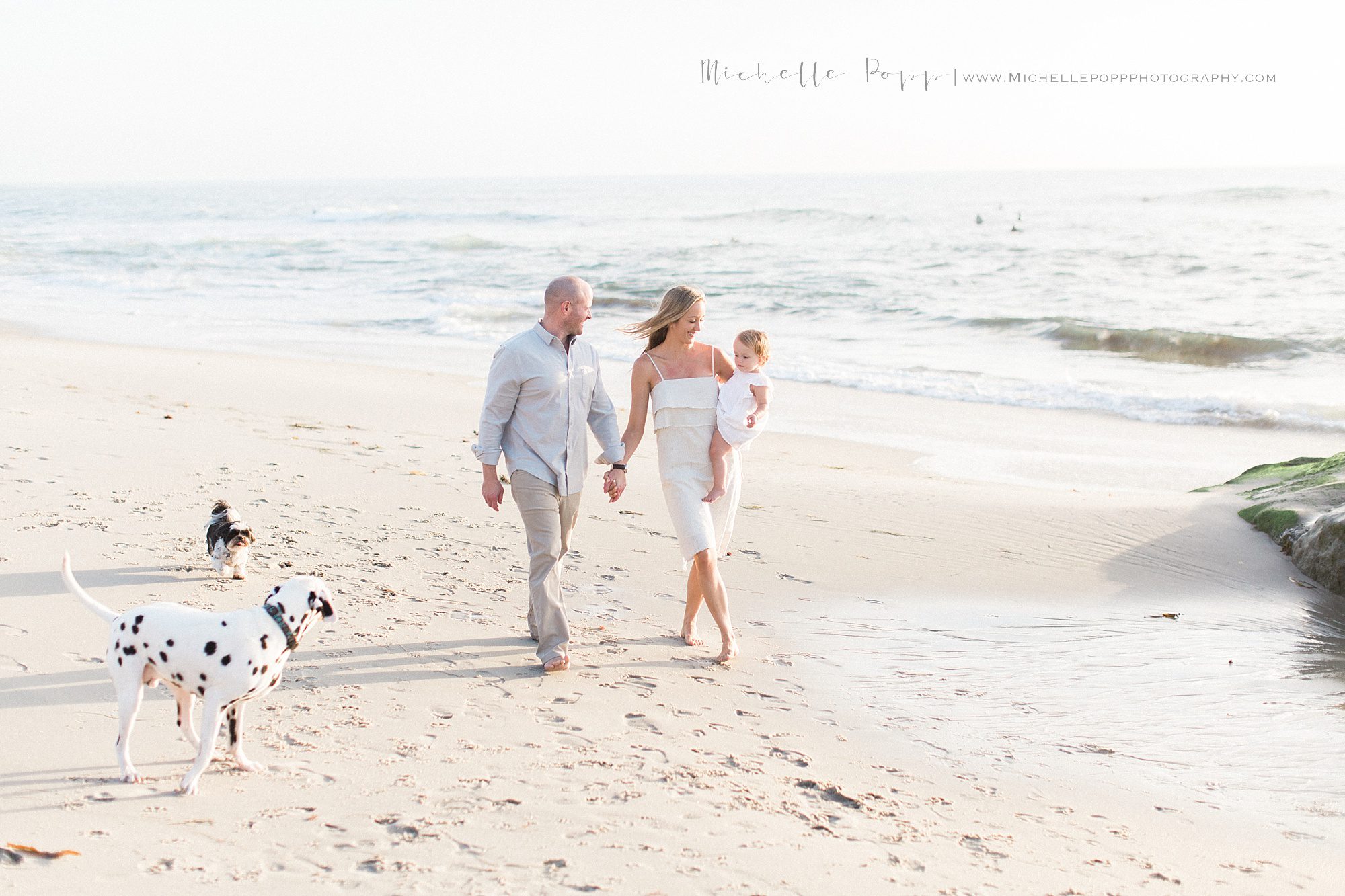 Family walking on beach with dogs