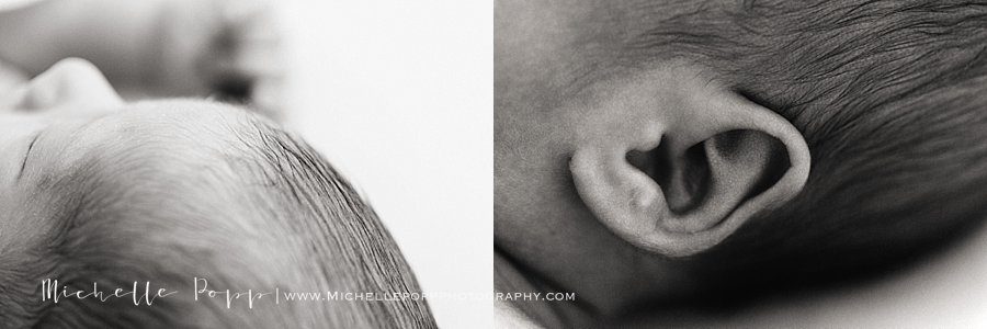 newborn portrait pictures of a baby's head and ear