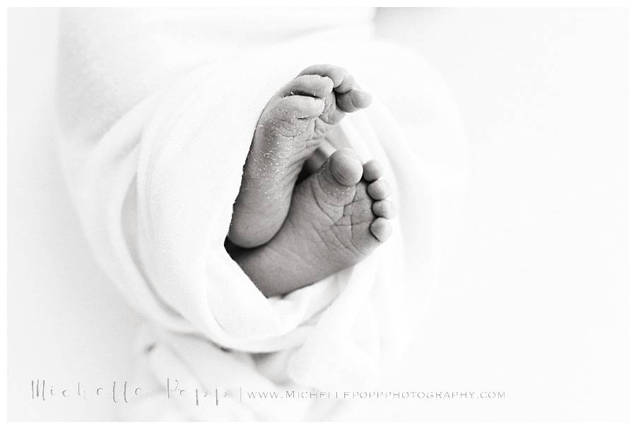 newborn baby close up of toes