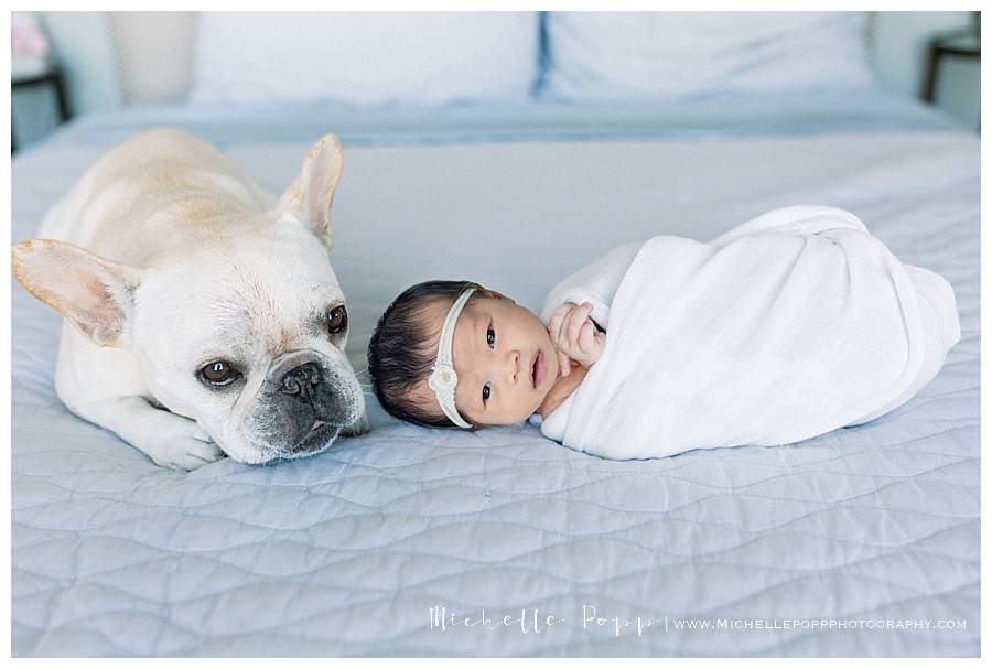 newborn baby girl on blue sheet with dog lying next to her