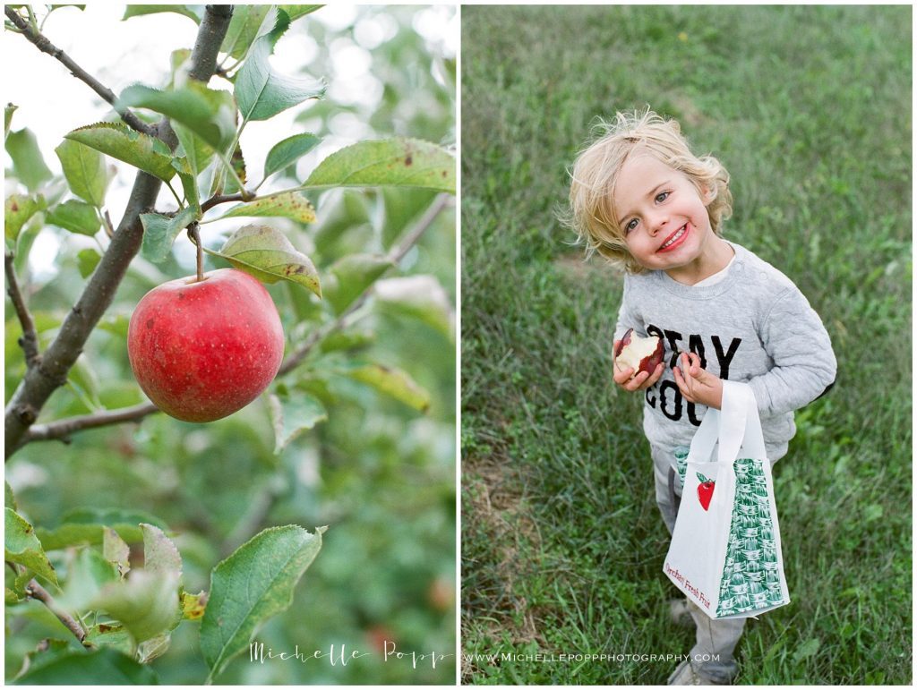 little boy going apple picking Fall Activities in San Diego  