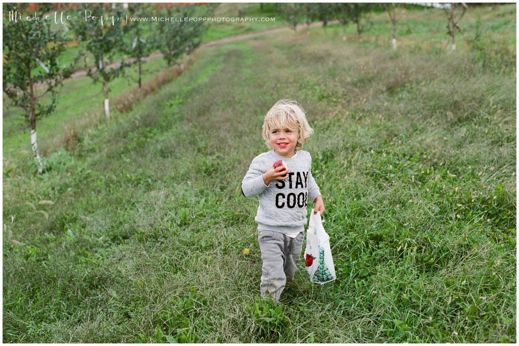 apple picking in san diego during fall