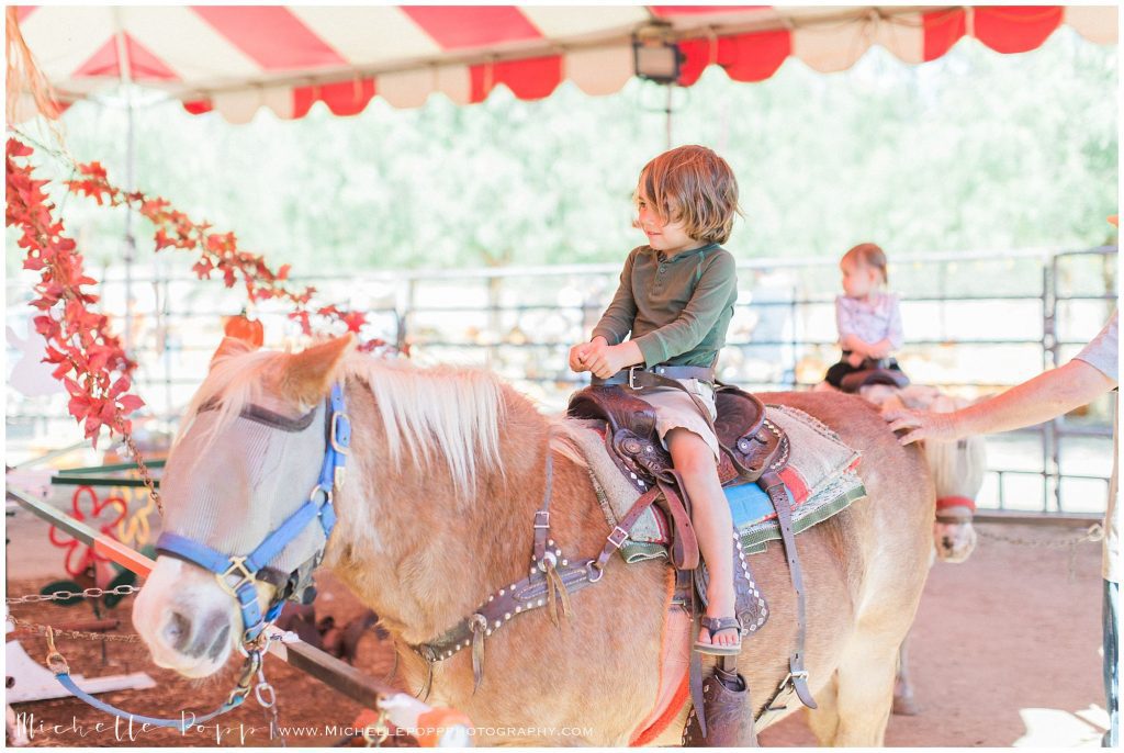 pony rides in julian during fall