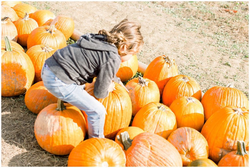 pumpkin patch in san diego