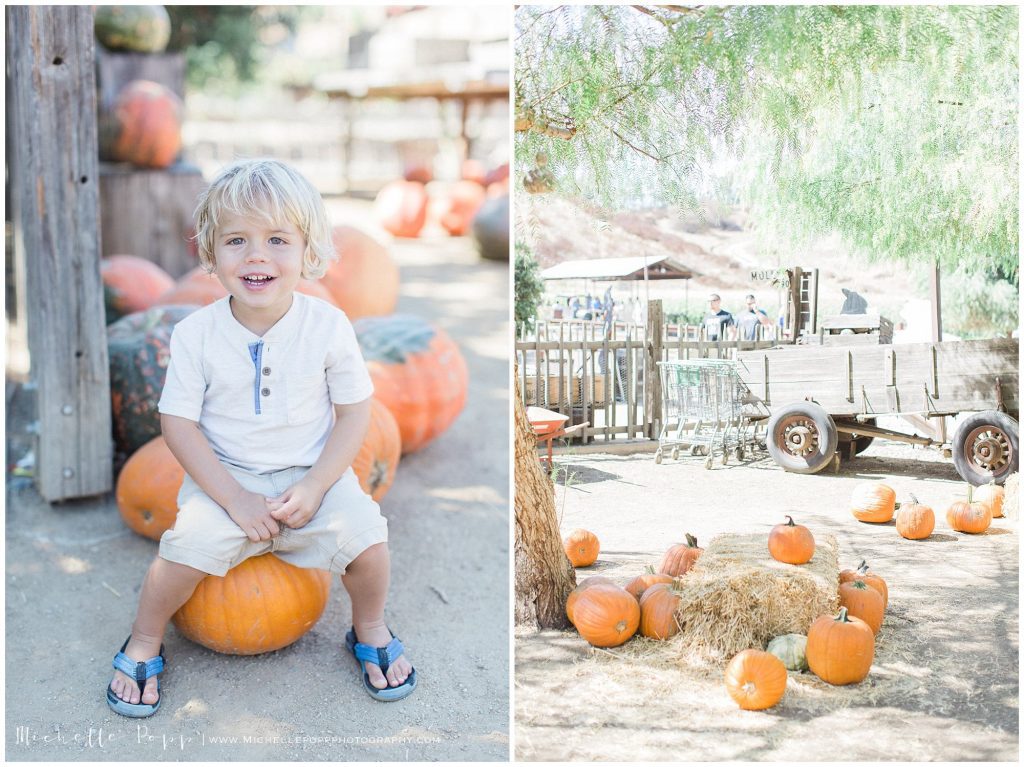 little boy sitting on a pumpkin