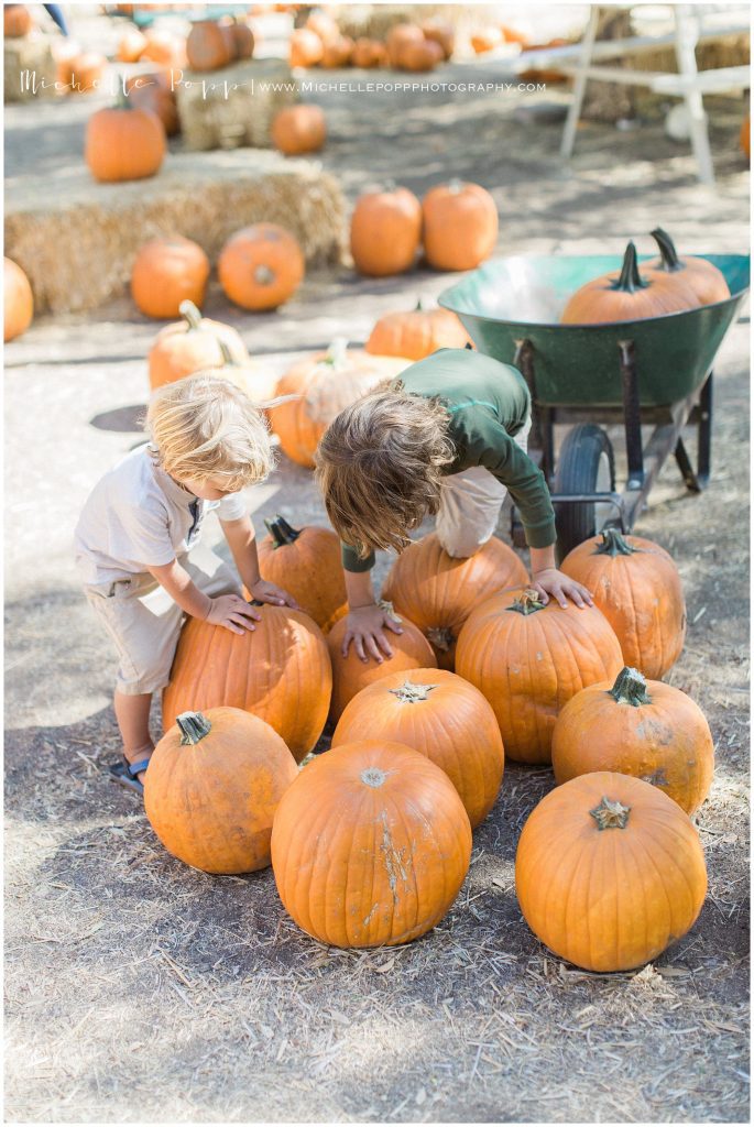 boys climbing on pumpkins Fall Activities in San Diego  