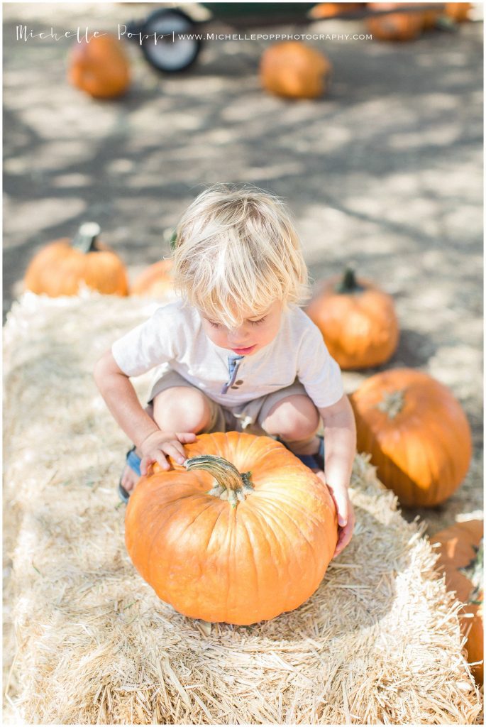 little boy in white shirt looking at a pumpkin