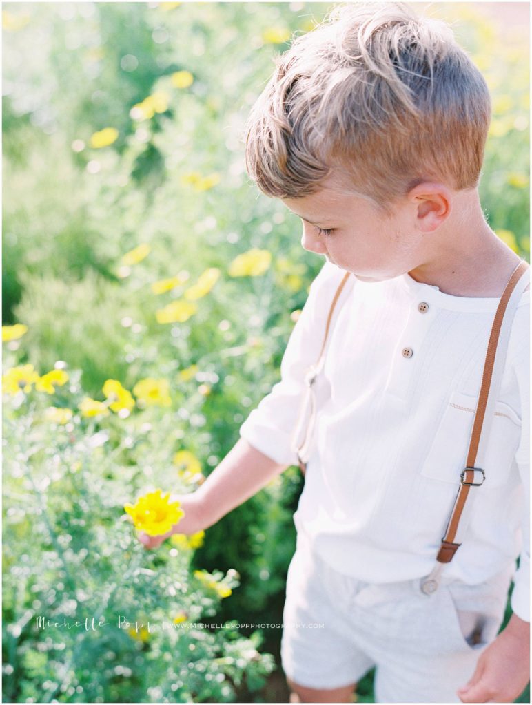 little boy picking yellow San Diego wildflowers